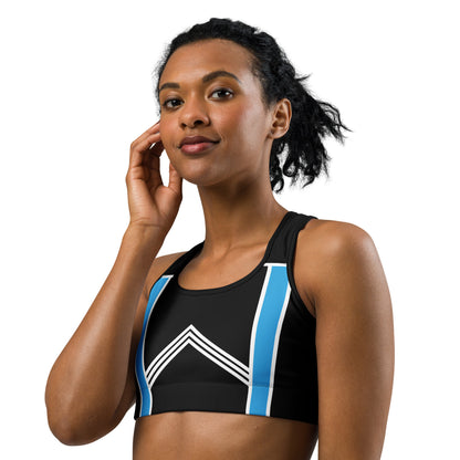 BabyCakes Sports Bra - Blue & White Stripes