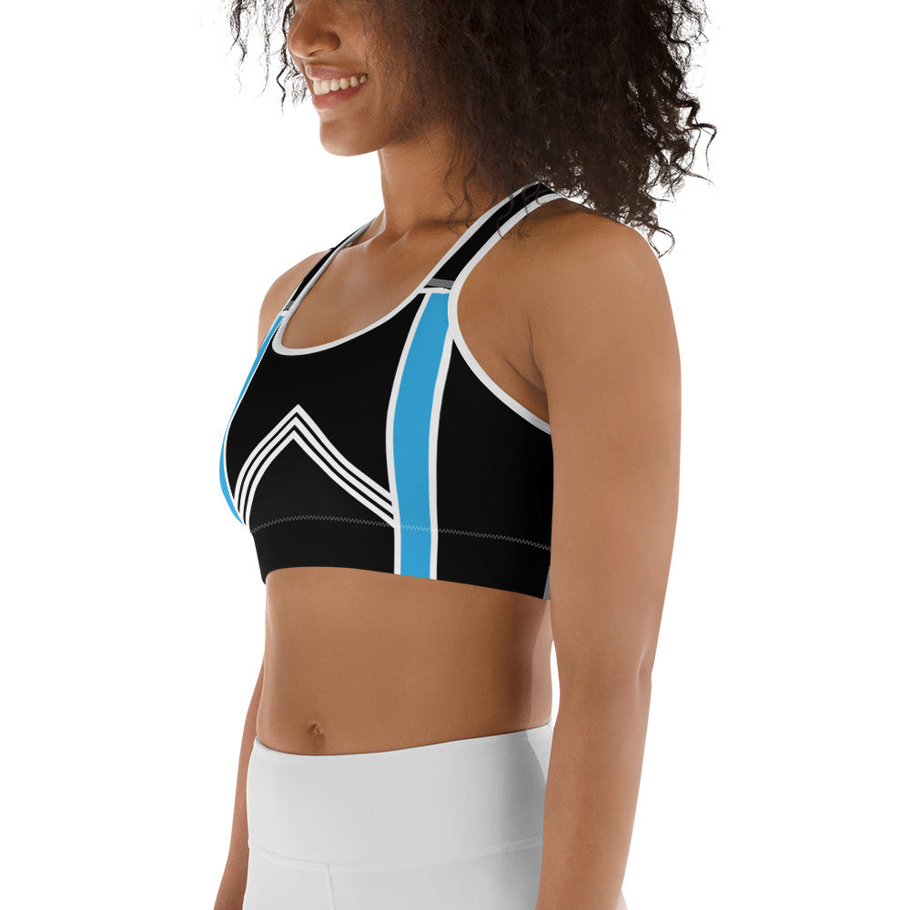 BabyCakes Sports Bra - Blue & White Stripes